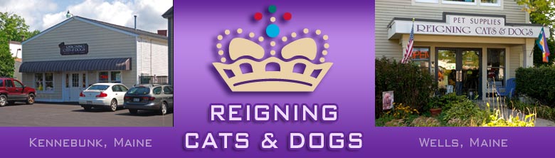 Reigning Cats and Dogs is located in Kennebunk and Wells, Maine