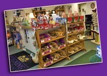pet supplies at Reigning Cats and Dogs