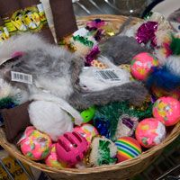 Pet toys