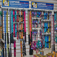 pet leashes