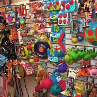 Pet toys