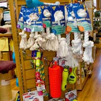 dog throwing toys