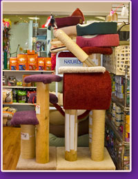 cat tree for climing and excercise