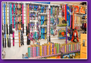 dog and cat leashes and collars