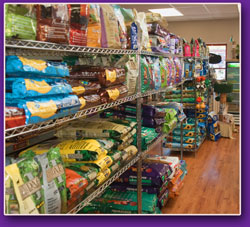 dry pet foods