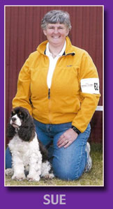 sue walsh pet trainer wells and kennebunk maine